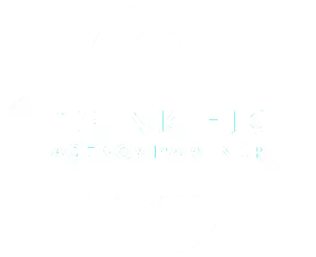 thinkific expert program certification