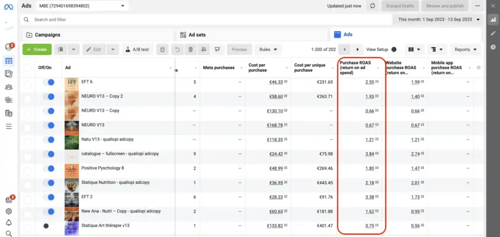 facebook ads dashboard roas column explanation